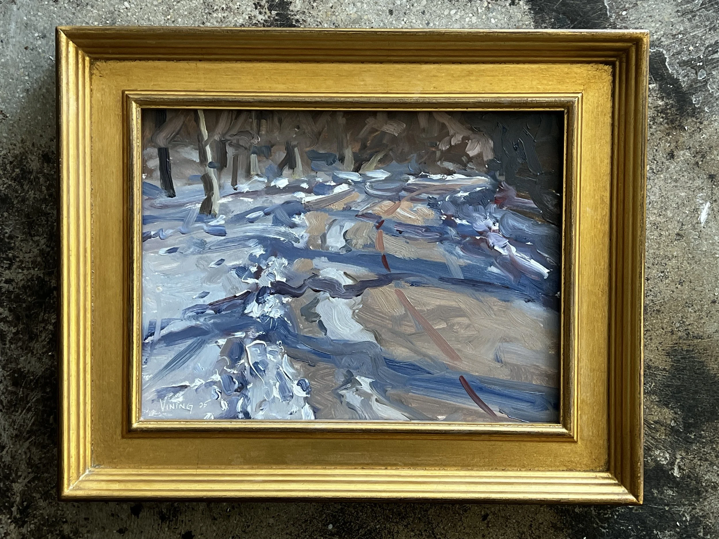 "Monon Trail in BRIP"