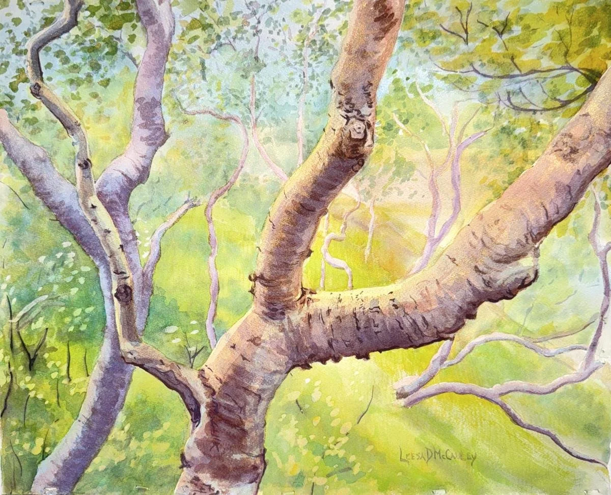 Basking in the Midnight Sun.jpg