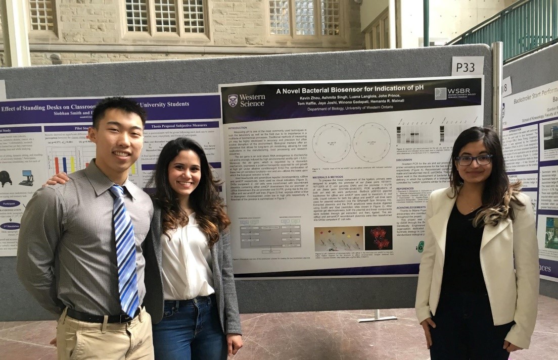 WSBR student directors presenting their work at Western Research Forum 2017. (from left to right: Kevin Zhou, Luana Langlois, Ashmita Singh)