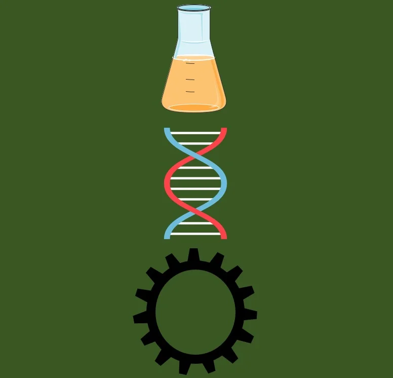 What’s in a Name? Defining and Relating Synthetic Biology to Biomedical Engineering