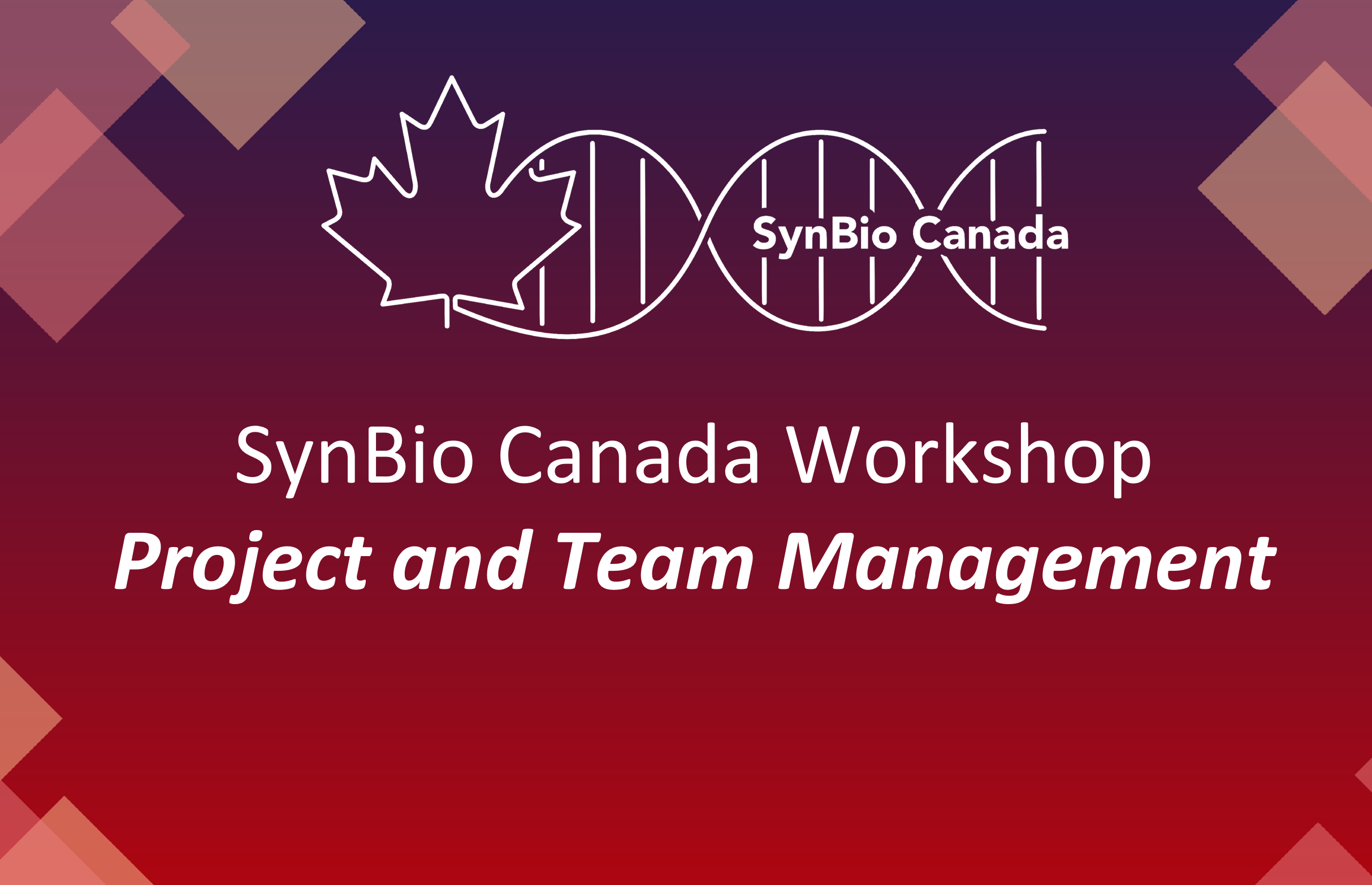 Project and Team Management Workshop