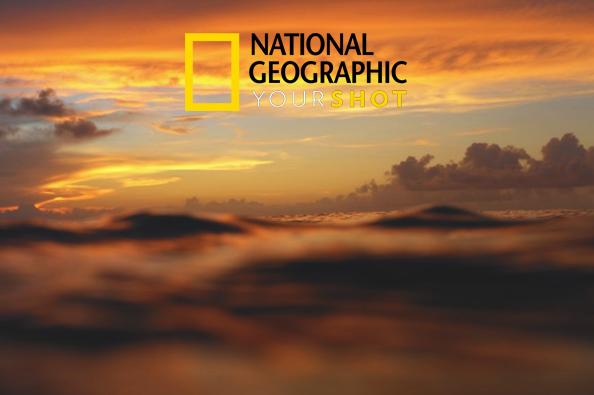 Recognized National Geographic Ocean Encounters
