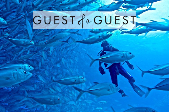 Tips From a Seasoned Explorer