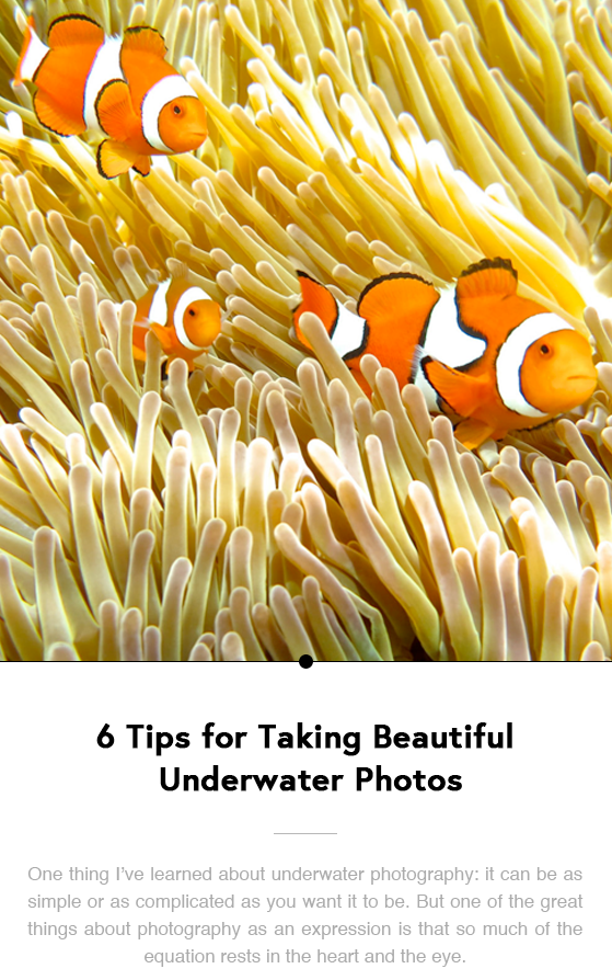 6 Tips for Taking Beautiful Underwater Photos