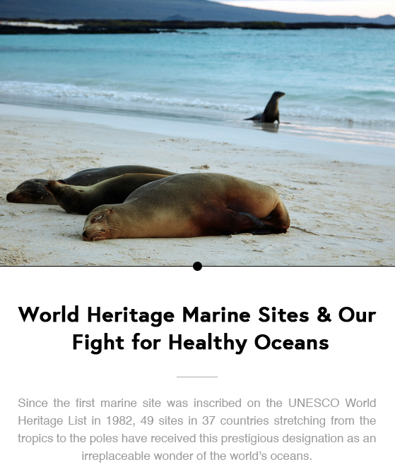 World Heritage Marine Sites &amp; Our Fight for Healthy Oceans