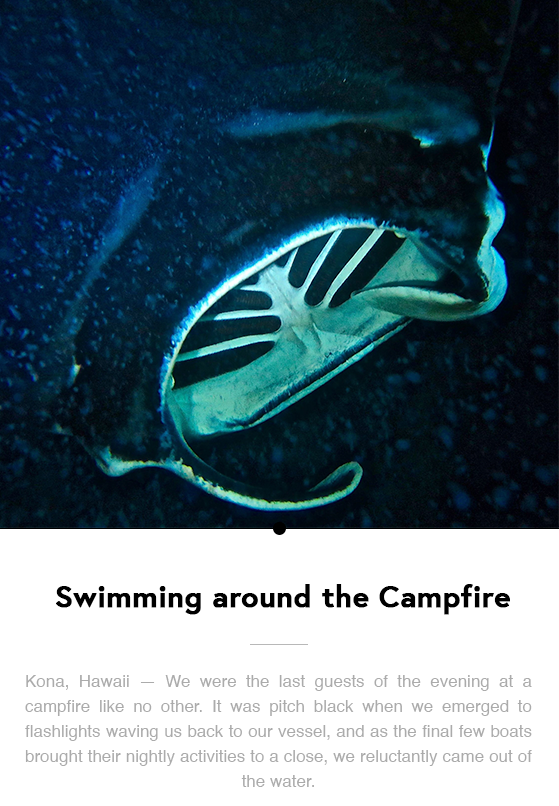 Swimming Around the Campfire