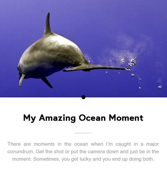 My Amazing Ocean Moment - Dancing With a Dolphin