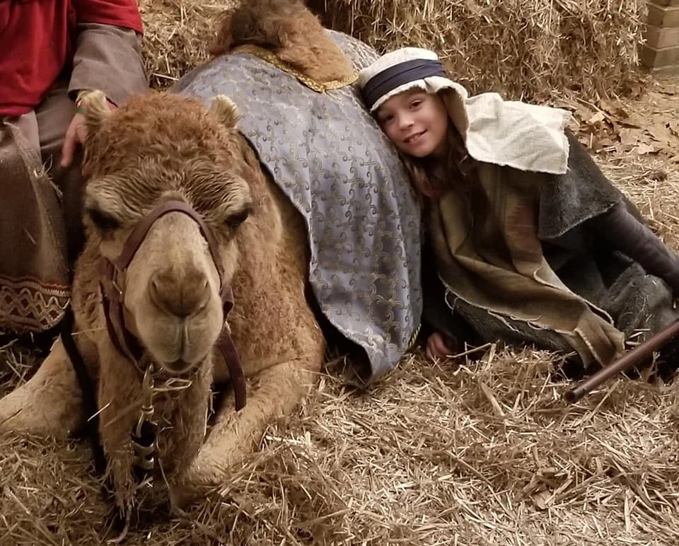 Walk Through Bethlehem - Live Nativity, Day 2