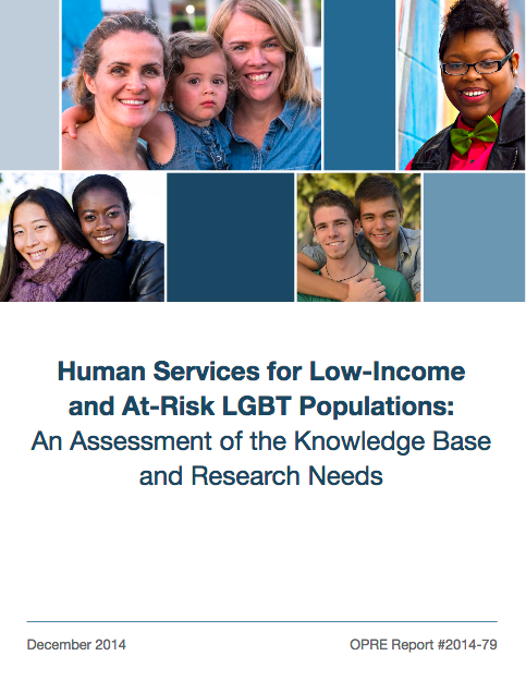 Human Services for Low-Income and At-Risk LGBT Populations: An Assessment of the Knowledge Base and Research Needs