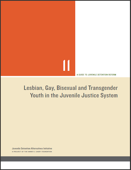 Lesbian, Gay, Bisexual and Transgender Youth in the Juvenile Justice System