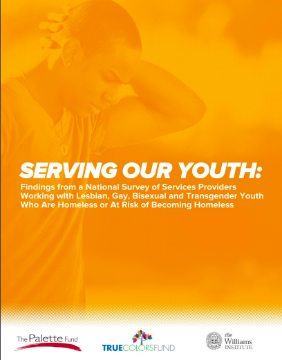 Serving Our Youth: Findings from a National Survey of Service Providers Working with Lesbian, Gay, Bisexual, and Transgender Youth Who Are Homeless or at Risk of Becoming Homeless