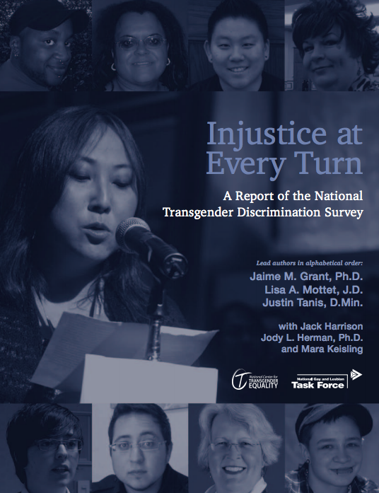 Injustice at Every Turn: A Report of the National Transgender Discrimination Survey