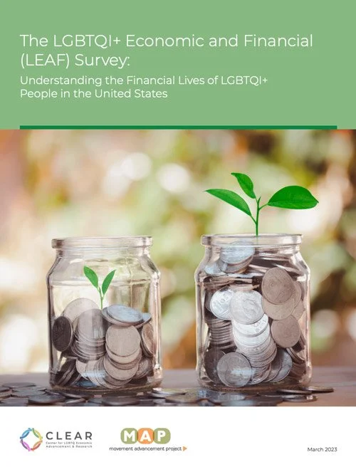 The LGBTQI+ Economic and Financial (LEAF) Survey: Understanding the Financial Lives of LGBTQI+ People in the United States