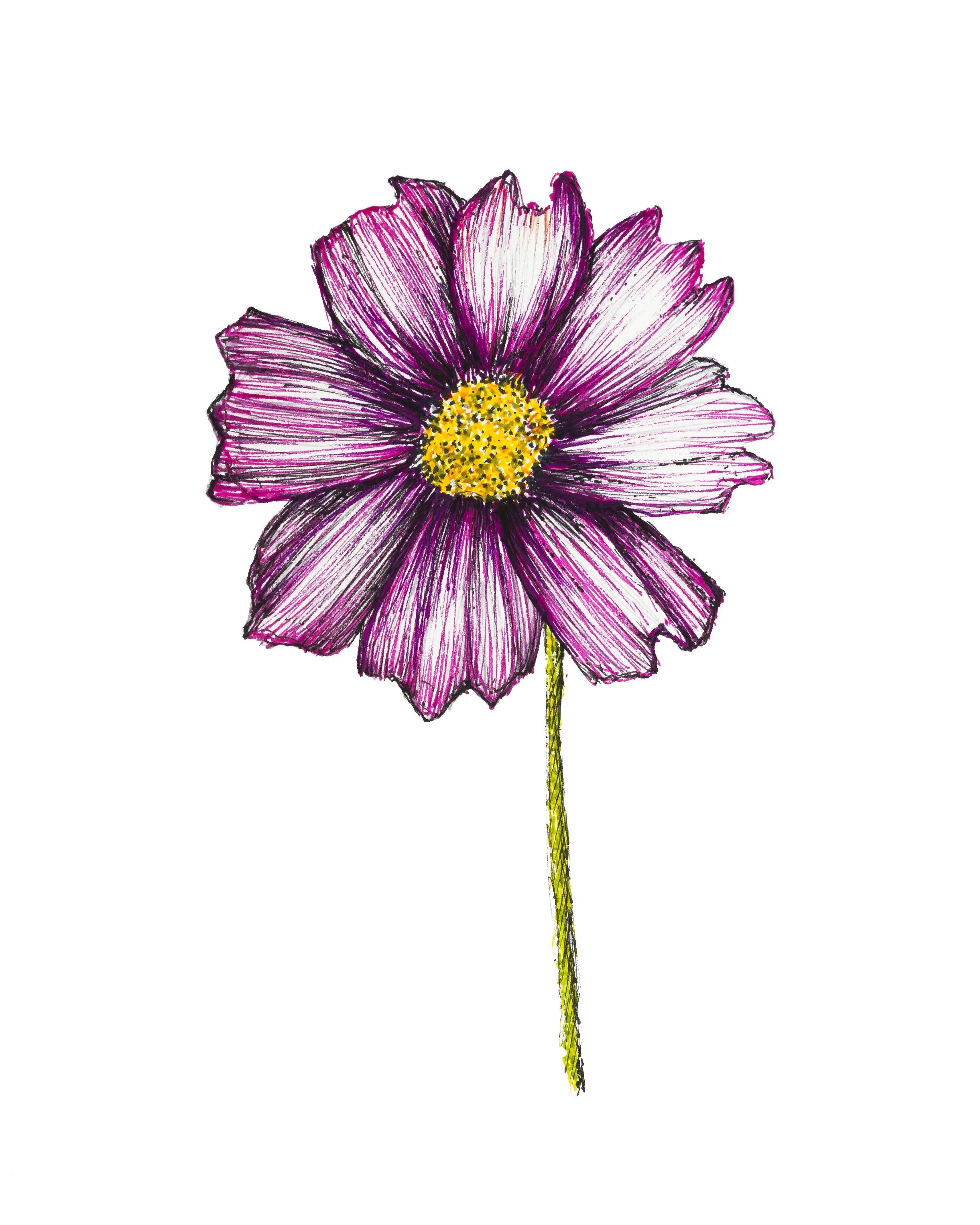Cosmos.jpg