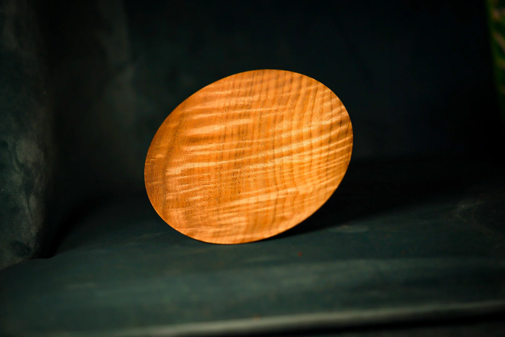 FCAE8878-6341-48EE-A9E0-AAE36A8915B8