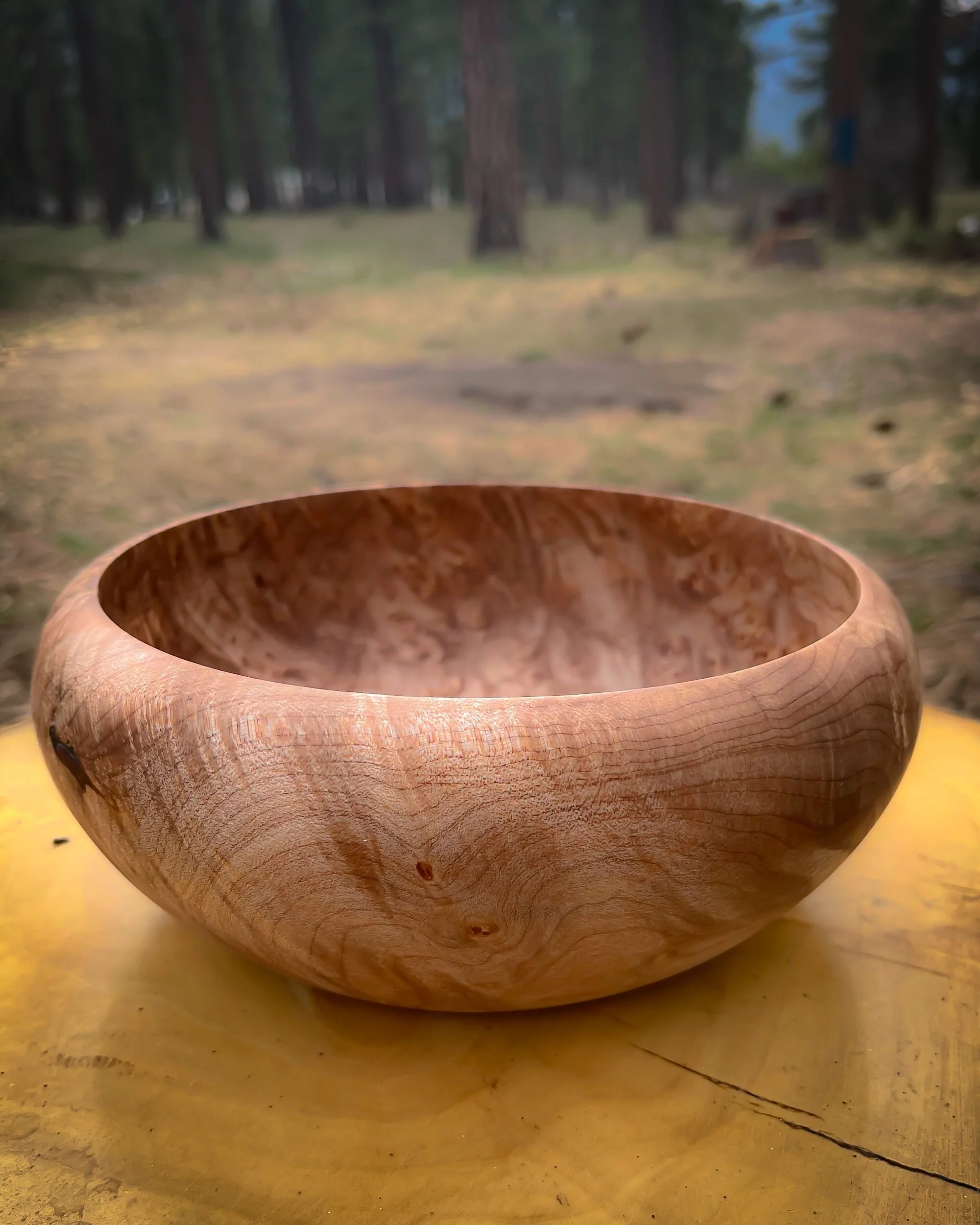 6CEFC42D-E026-42C1-BFA3-560AA53BDE4B