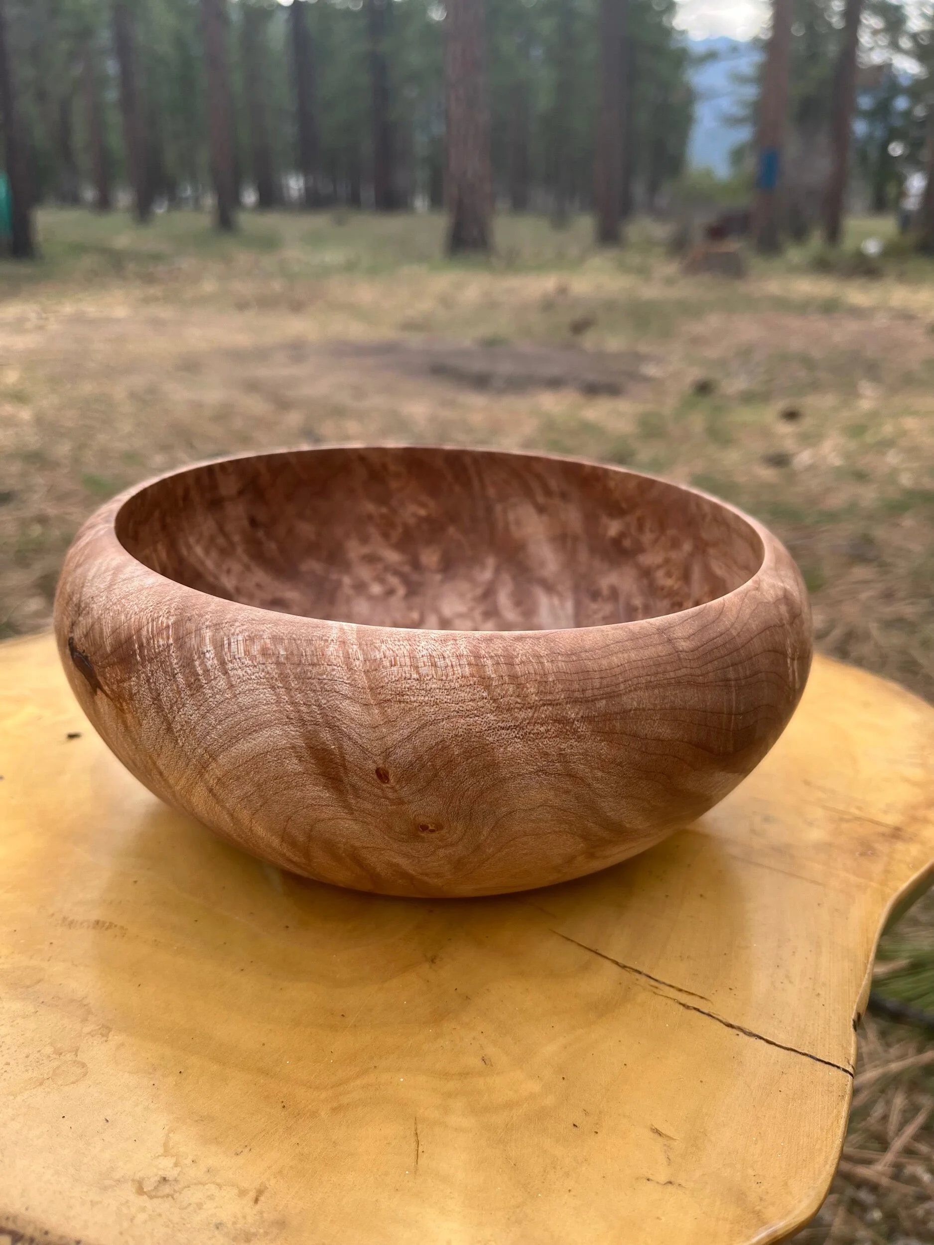 B11F5892-2440-4A16-BCB9-36723BE93B79