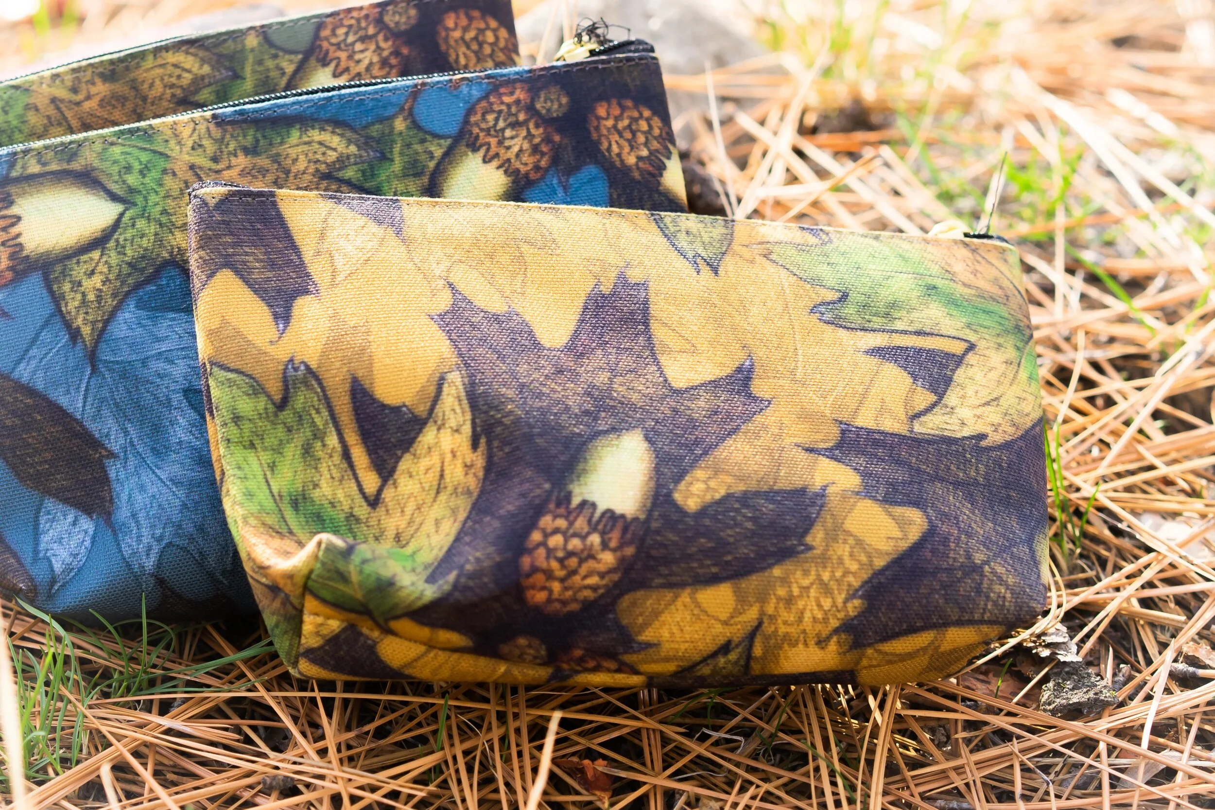 E70CCF9C-A059-45D3-AD12-232DE2BED428