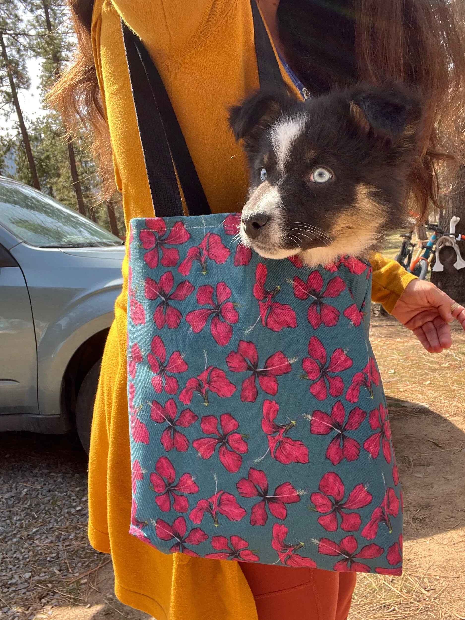 F5E06011-49C0-4614-83A4-B1DFF1EC66E5