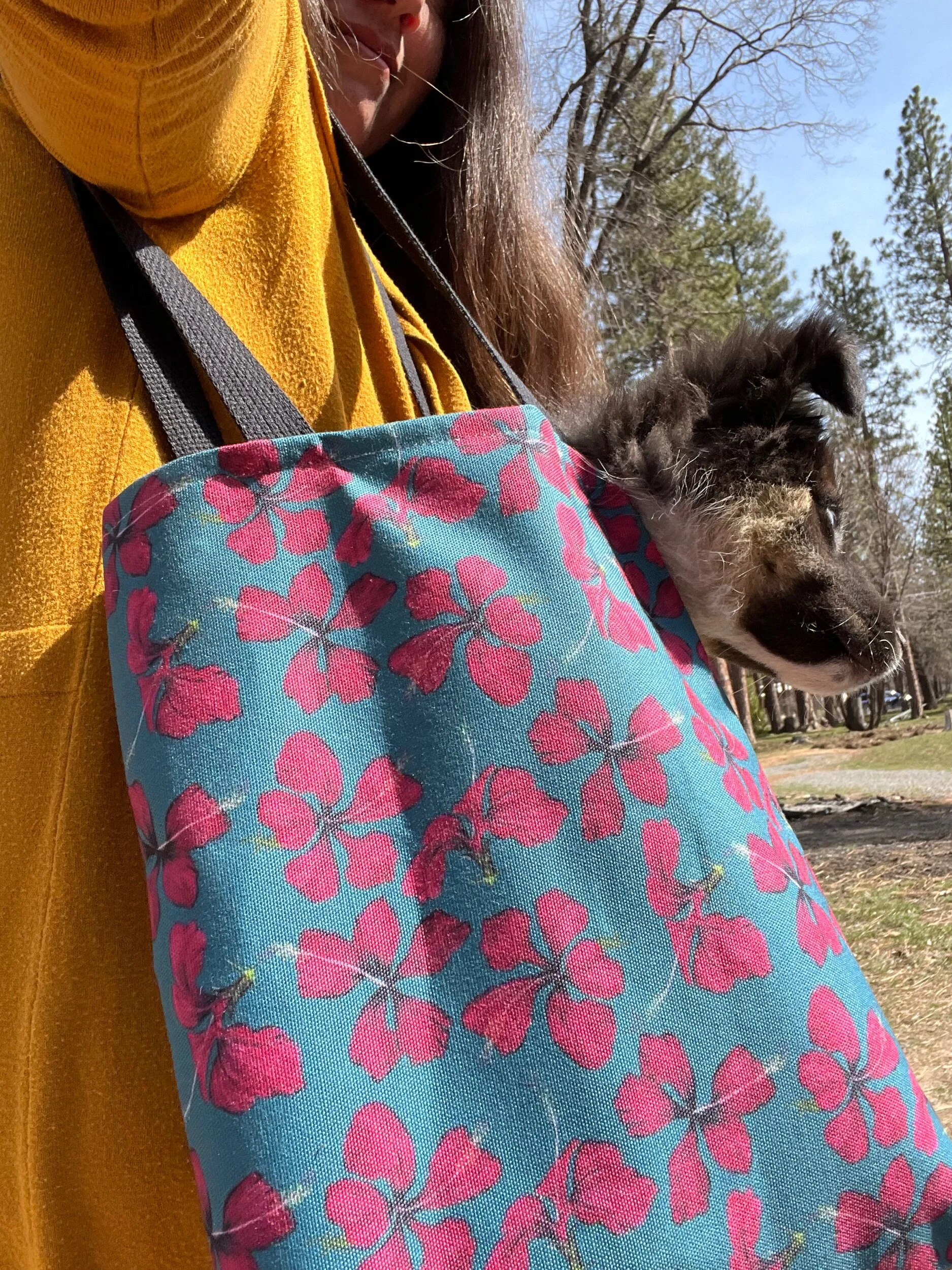 0DB69FE4-EFC6-4EE8-BF2E-D0445A71E0B5