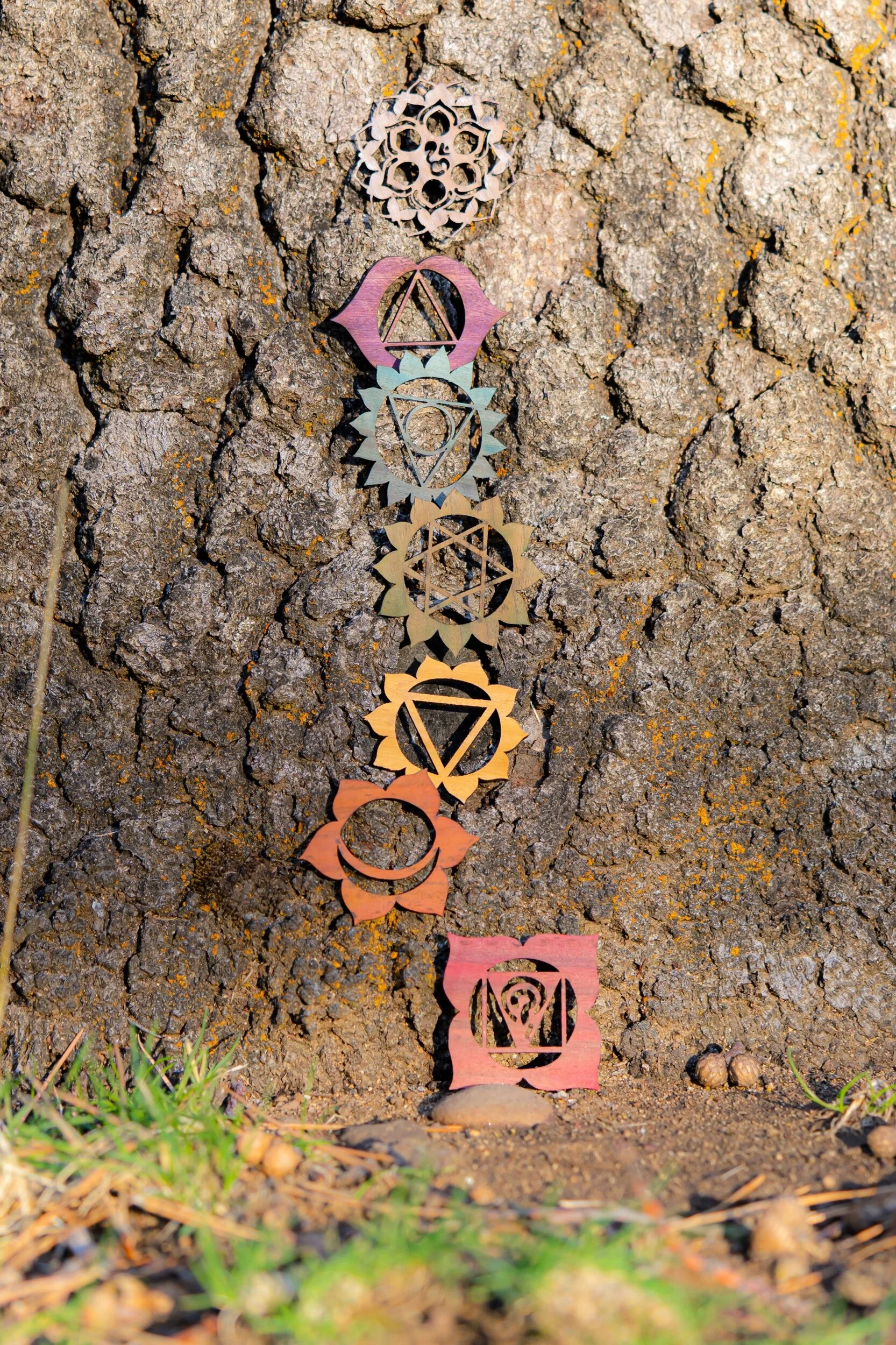 94D5A51D-7CAF-44A1-B02B-61278ABFB14A