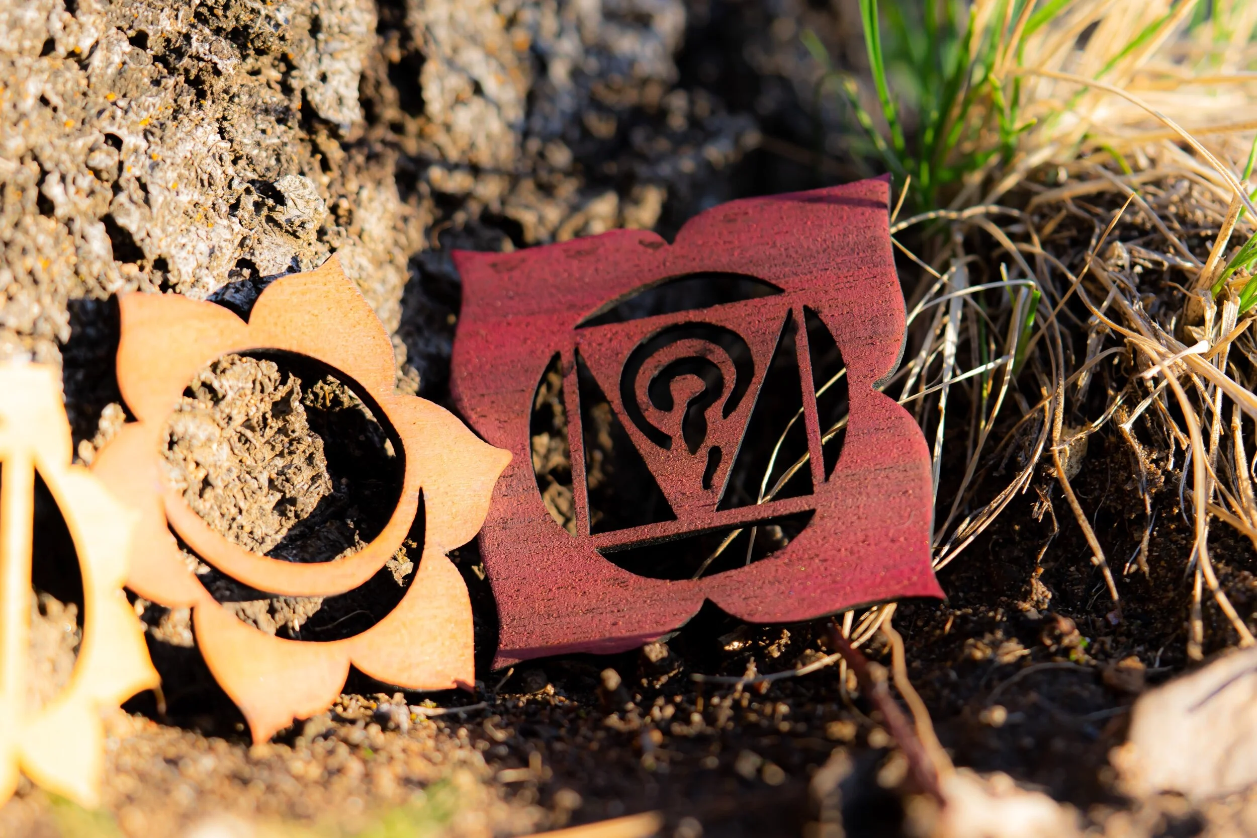 E7B7B4EA-36B2-4FA8-B4D4-B4C413B55485