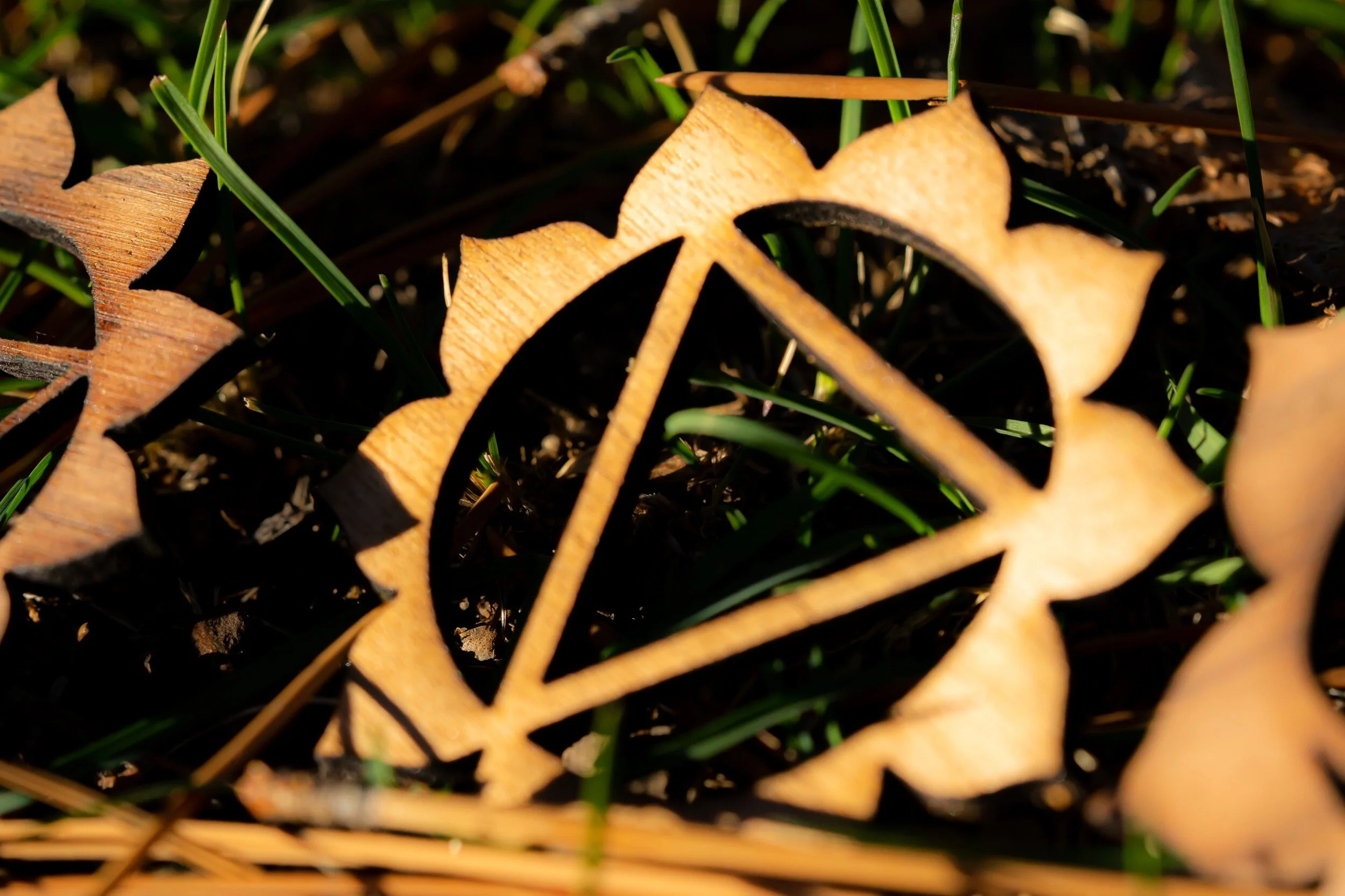 3064E51D-DD33-400E-838C-77274B4CAB85