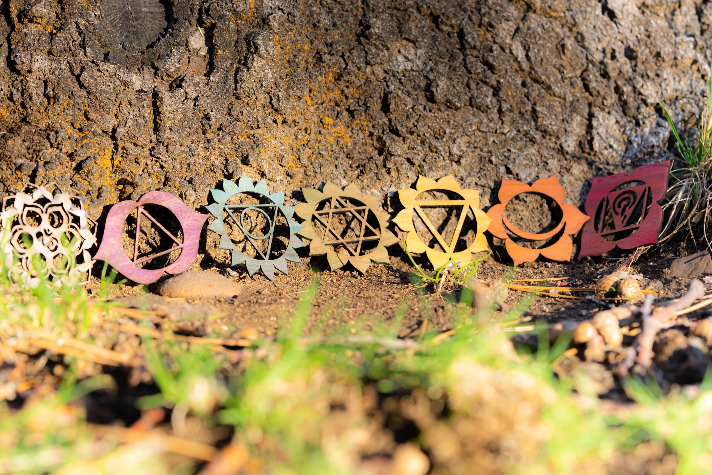 496D1C4D-5A23-411C-9BF7-CCB18A545F6D