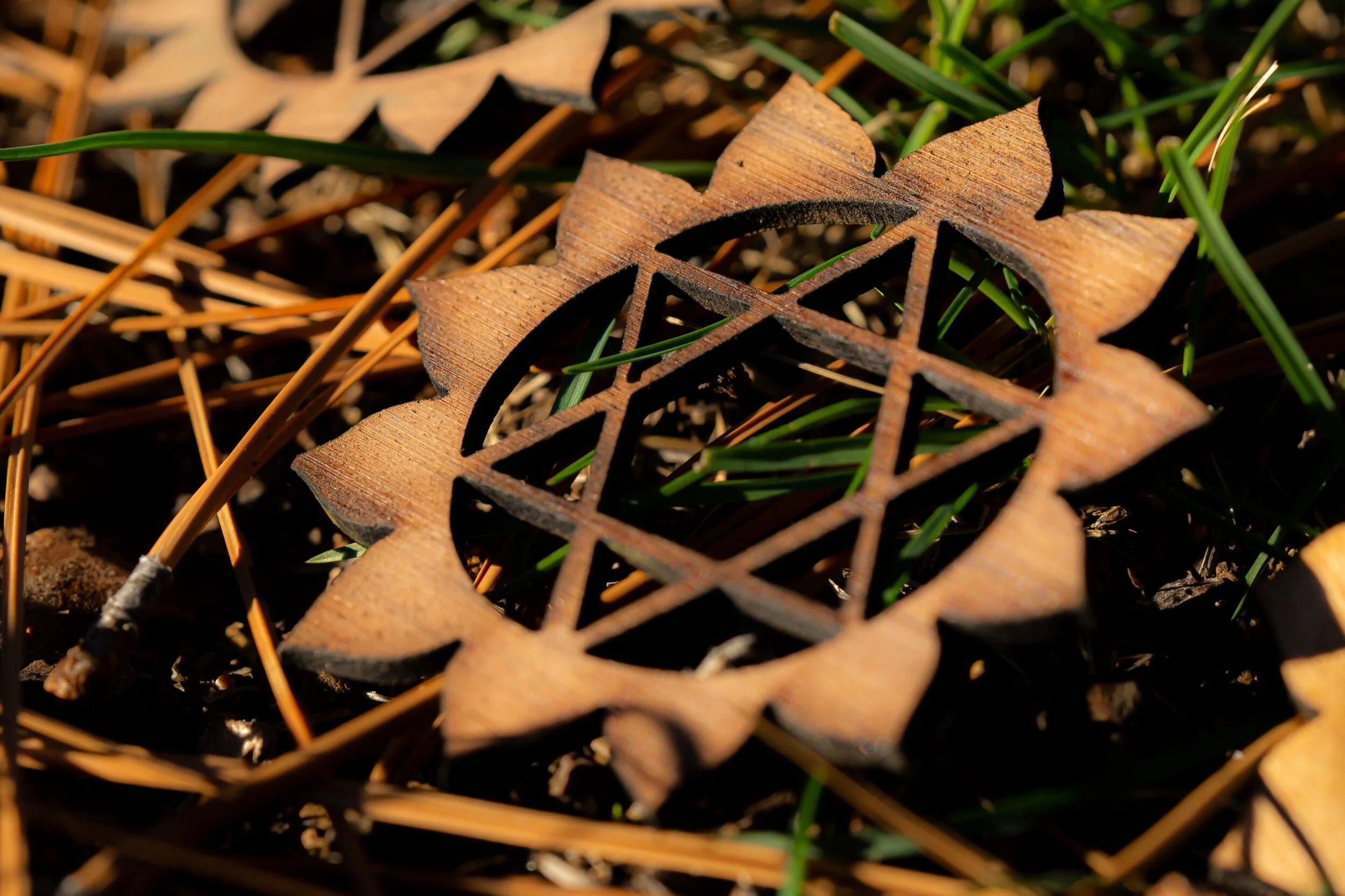 A3483870-98C7-4DD2-86CA-7399DD86AF91