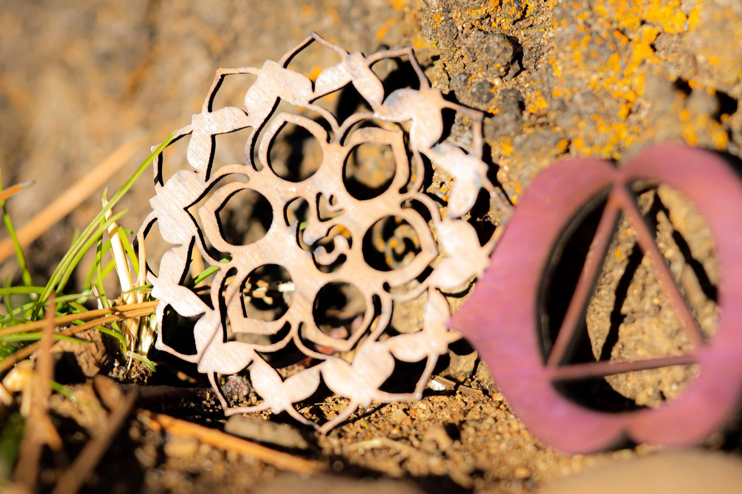 FDC2D7AE-DD27-4463-AC35-9428E6512E16