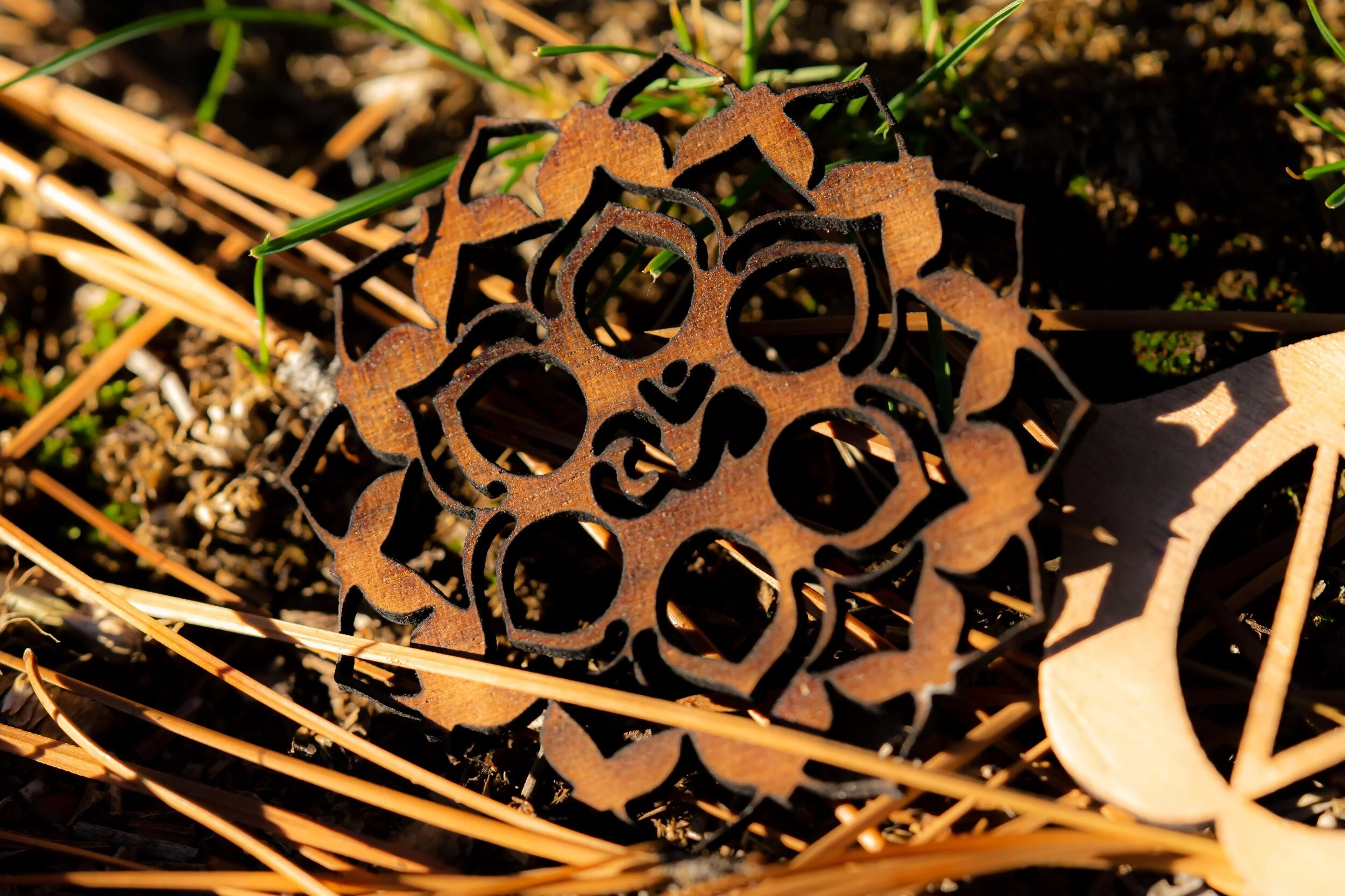 93B00E95-DC5C-48A9-BE7D-85A0252C8A5B