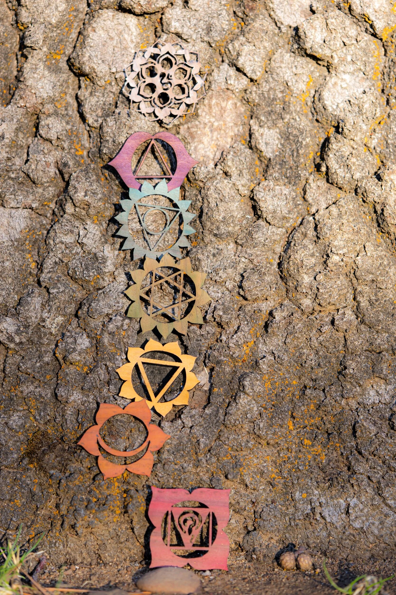 9D109558-C9F1-4318-8FBA-F4C7C2F7B0EA