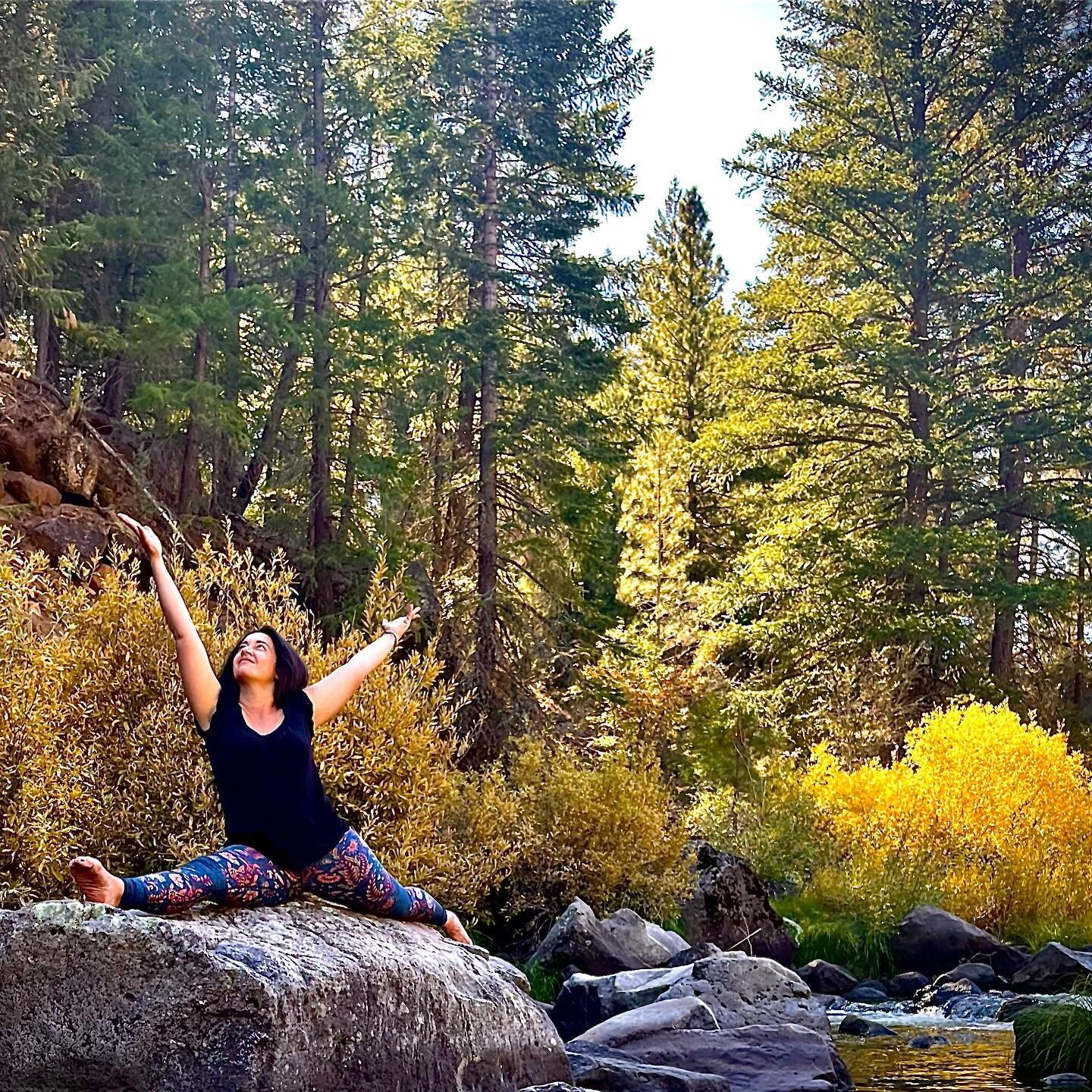 Join us November 11-13 in beautiful northeastern California this fall for a yoga retreat designed to release ~ restore ~ renew!

Spots are limited so each one of you has ample space to explore and restore on 10 acres of gorgeous pine and mixed conife