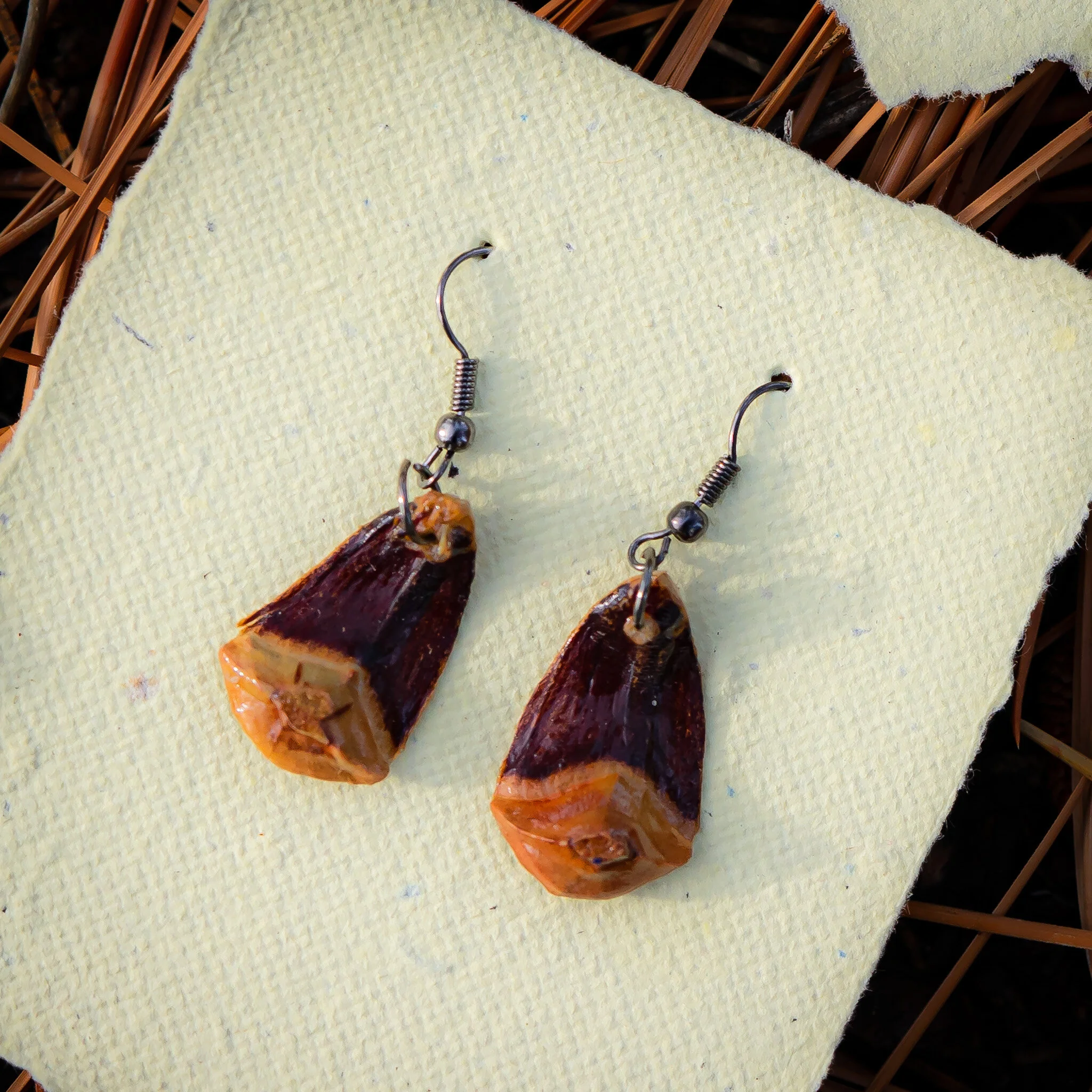 411CC05E-B39D-4769-8C00-69F54EC5D829