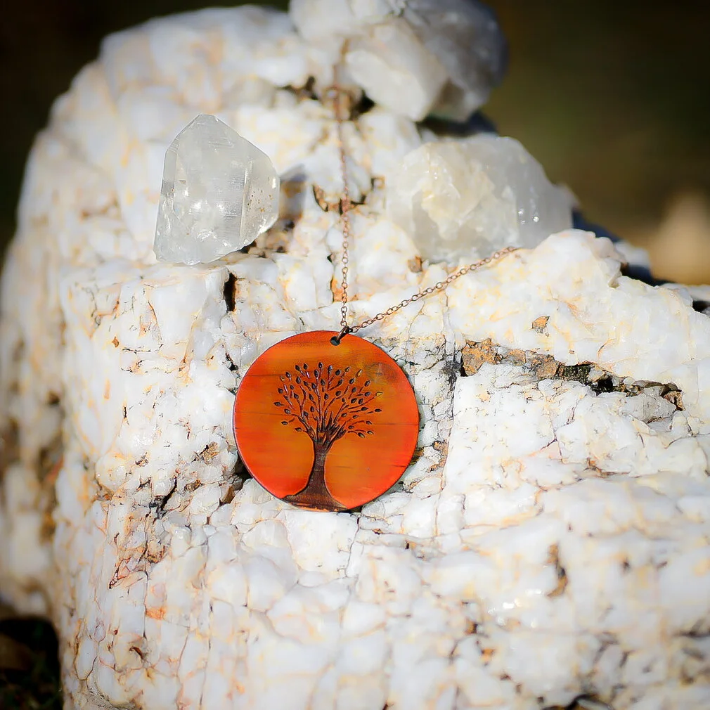 5EE1025C-DEC4-4A1D-911F-F403C5919C4F