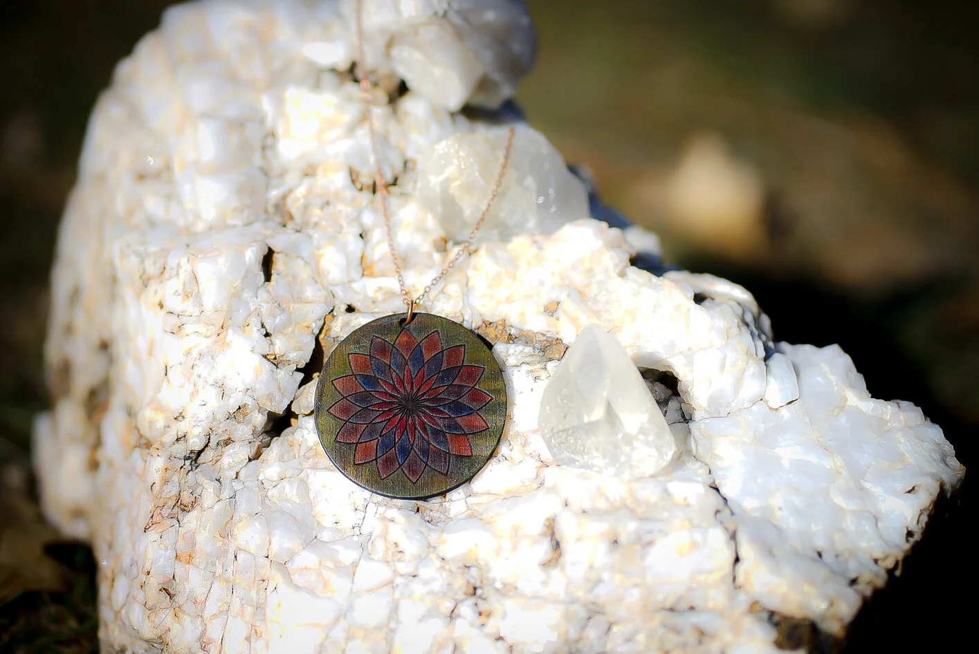 81850F29-845A-49A6-A04A-E1603086CFFC