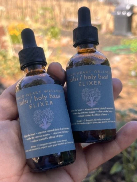 Tulsi tincture.jpeg