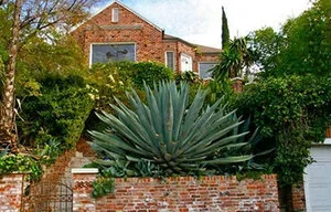 3839 Franklin Ave, Los Feliz <br>Sold - $760,000