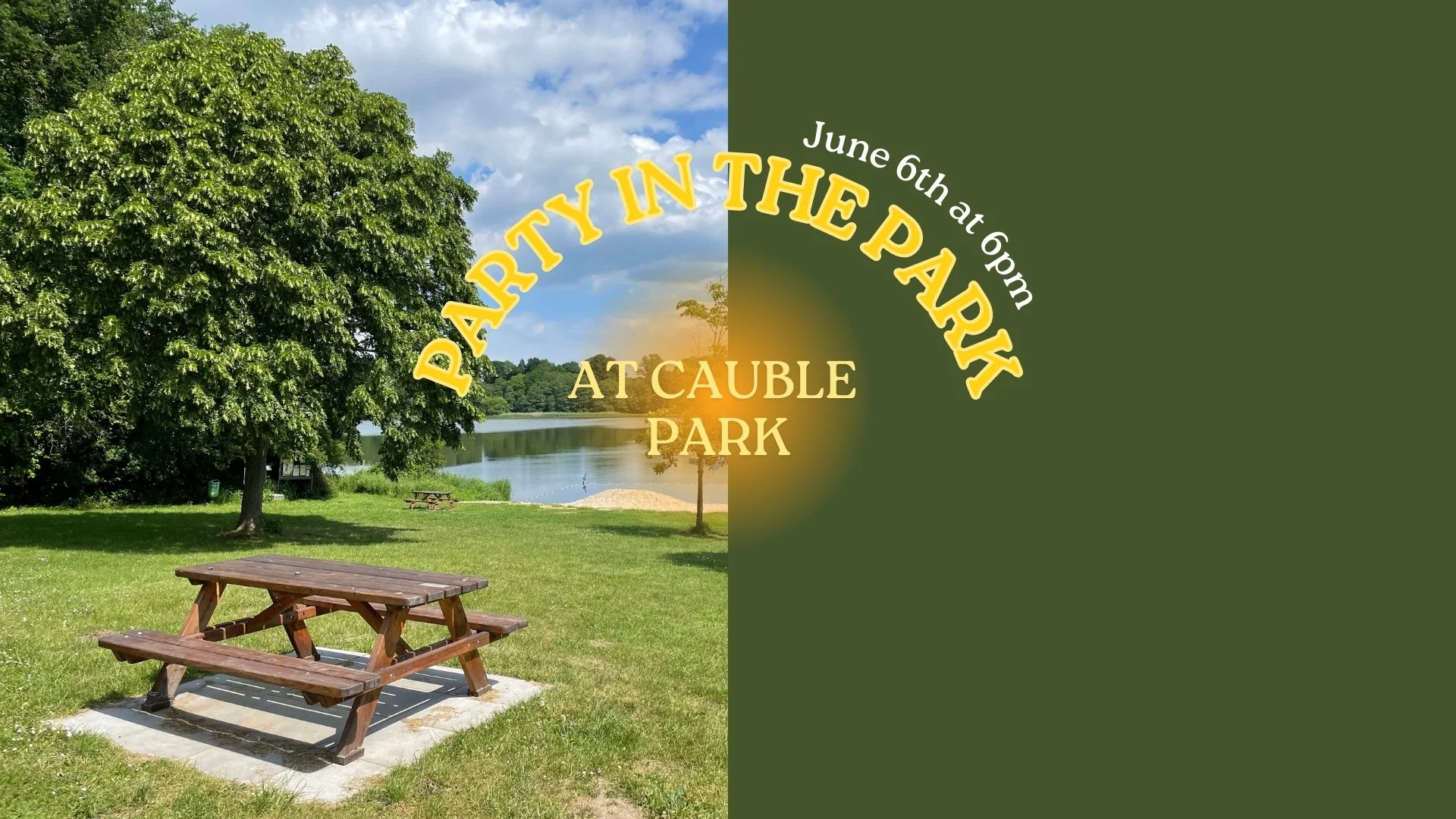 Party in the Park