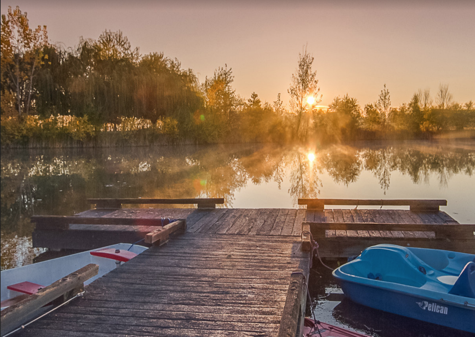 Screen Shot 2018-02-06 at 2.00.47 PM.png