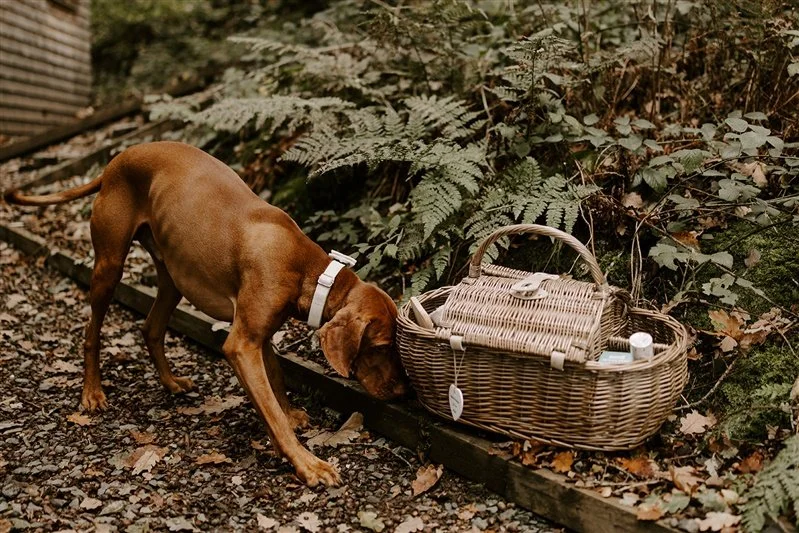 Lake district elopement - fleetwith pike wedding15.jpg