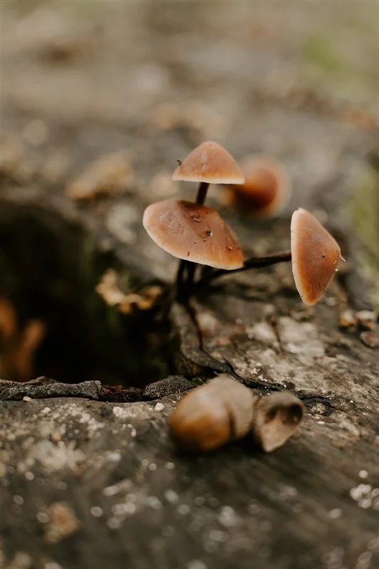Lake district elopement - fleetwith pike wedding19.jpg