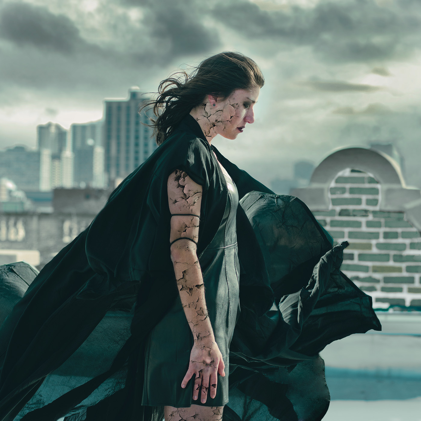 scars_13x19.jpg