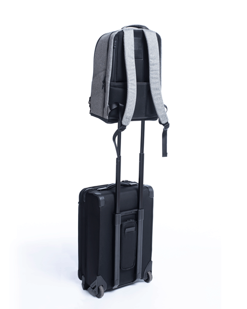 Gray_L_Suitcase2.gif
