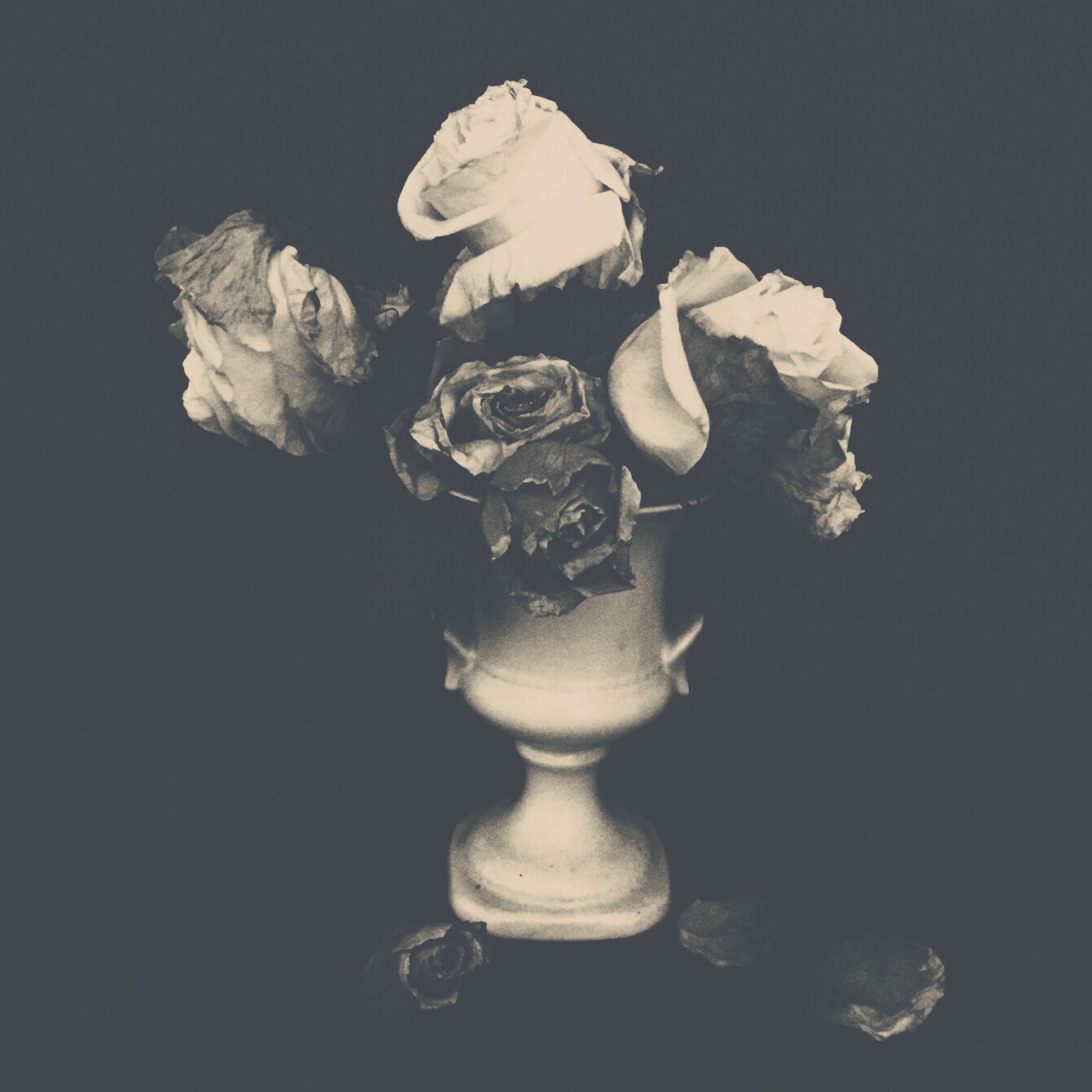 Dutch Master black & white.jpeg