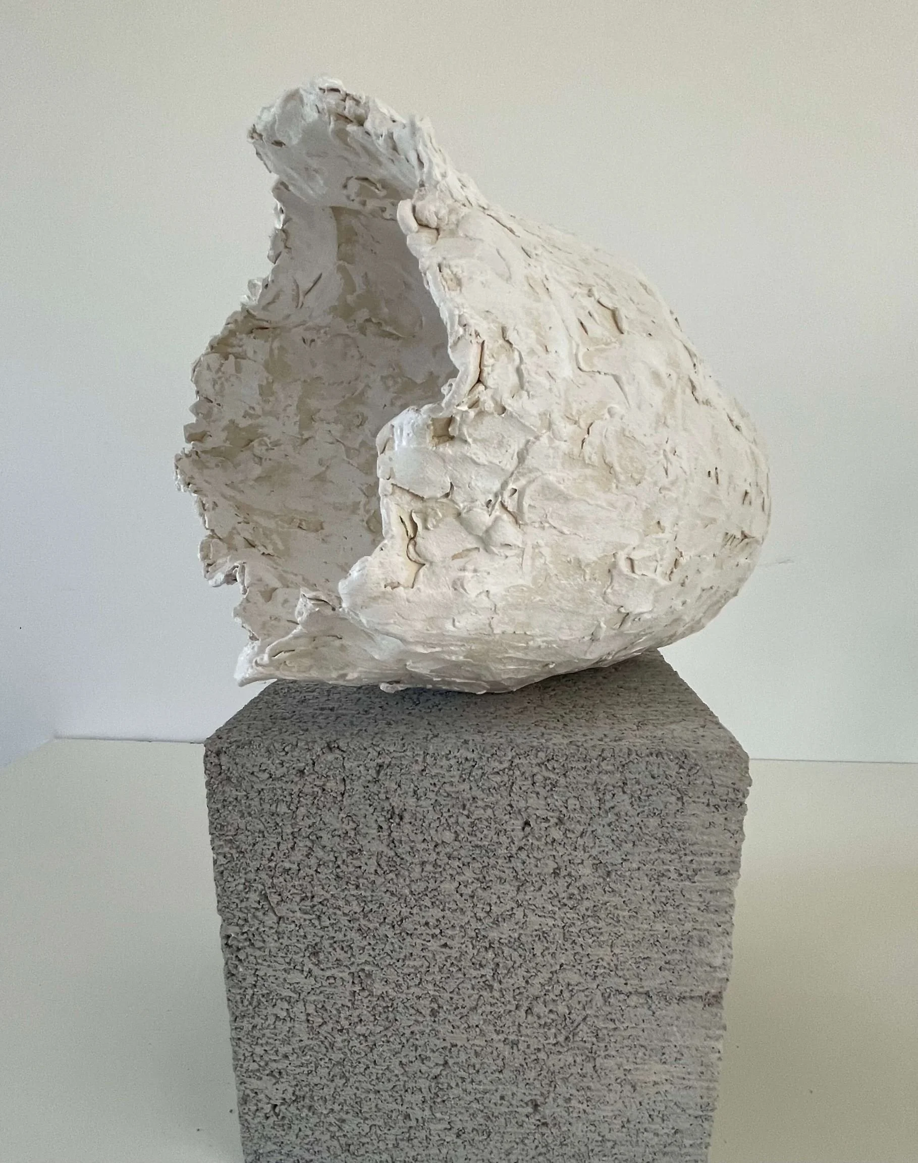 Natural Disorder - Ceramics Study #6