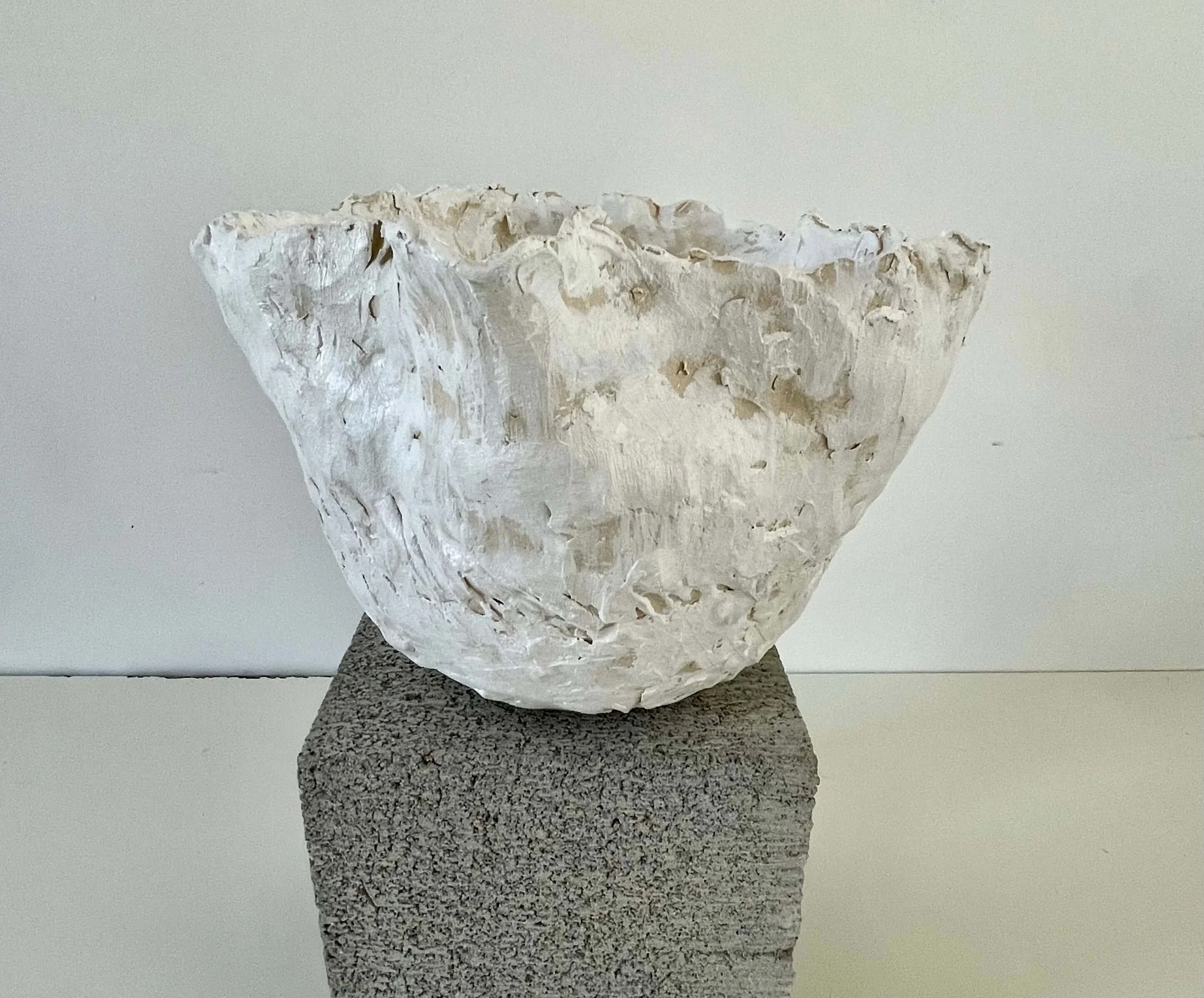 Natural Disorder - Ceramics Study #5