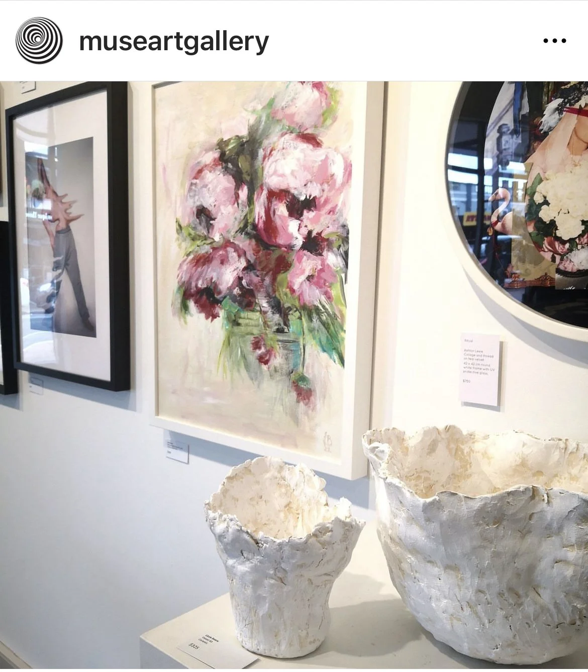 Muse Art Gallery. Hawkes Bay.jpeg