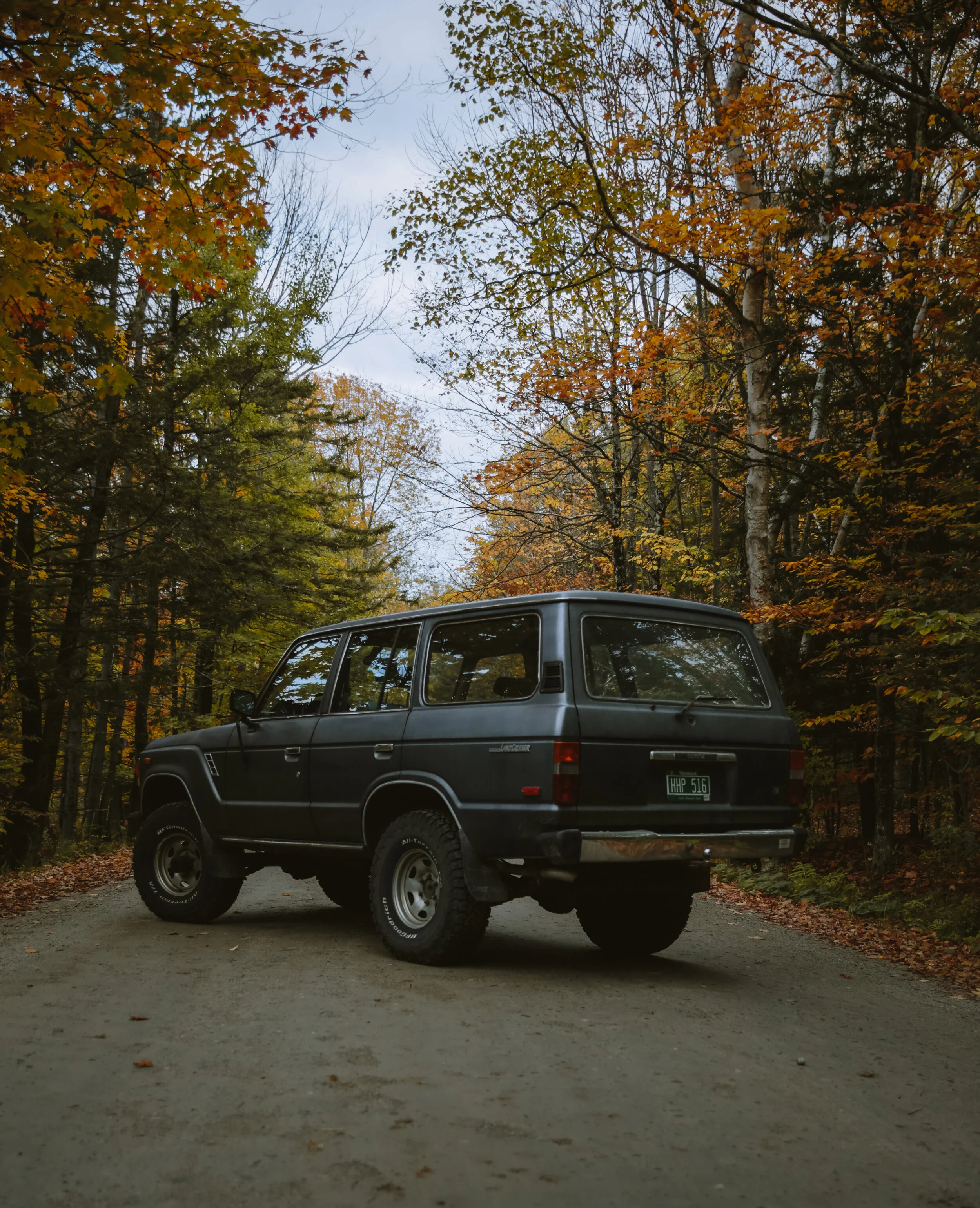 LC_Rear (1 of 1).JPG