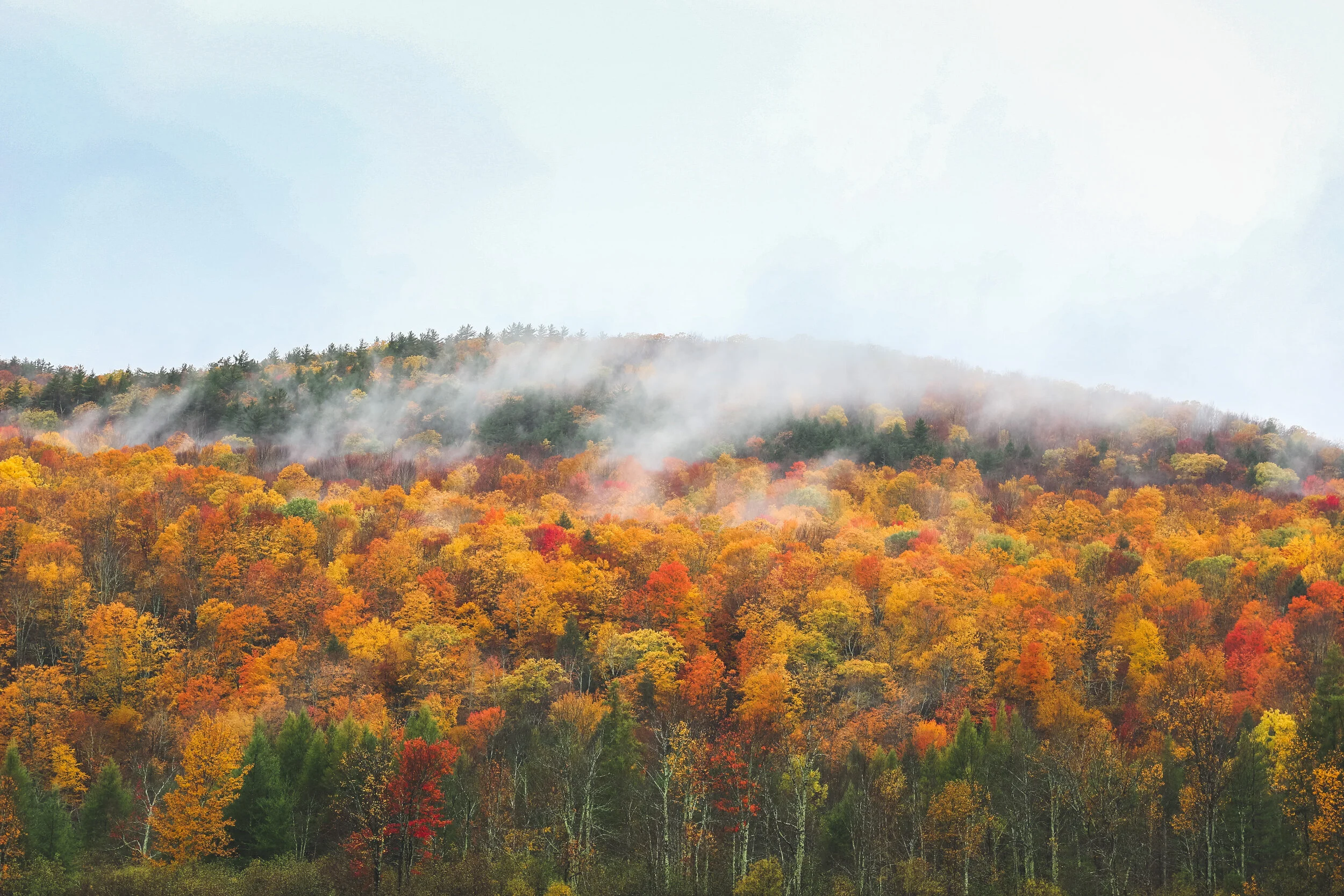 ChadwickFall (1 of 1).JPG